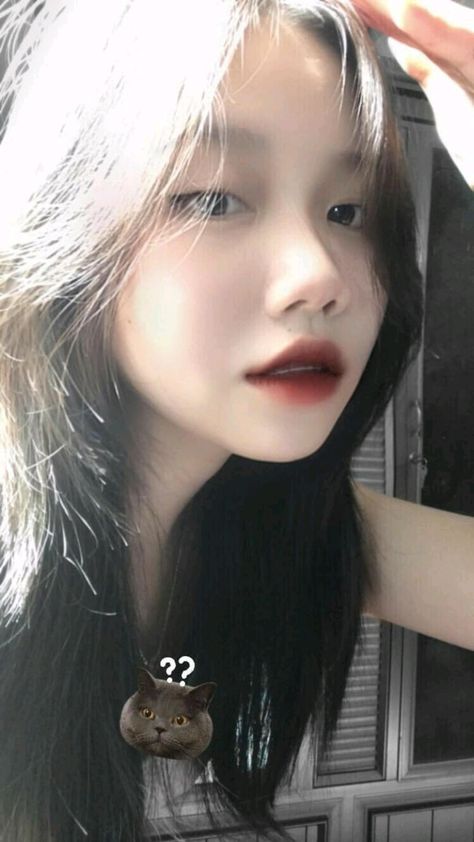 少林木人巷